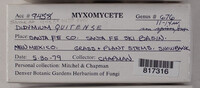 Image Associated With the Occurence